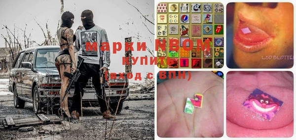 гашик Нефтекумск