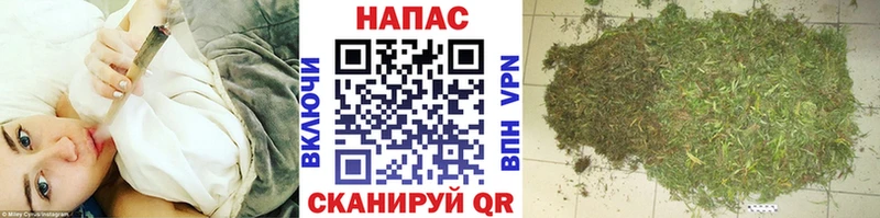 Конопля планчик  цены наркотик  Княгинино 